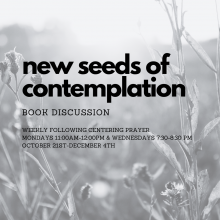 New Seeds of Contemplation